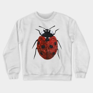 ladybird Crewneck Sweatshirt